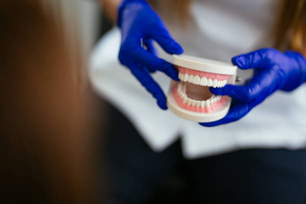 Best Traditional Braces  in Medford, MN